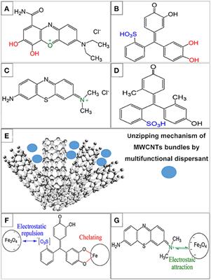 Functionally Decorated Carbon Nanotube Networks for Energy Storage in Supercapacitors